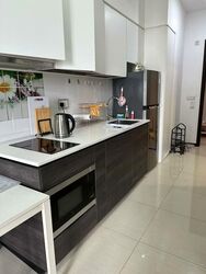 Sims Urban Oasis (D14), Condominium #556640951